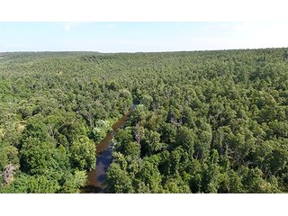 Property photo 26 - LAND AUCTION - 1,976+/- ACRES OFFERED IN 13 TRACTS IN PITTSBURGH & HASKELL COUNTIES, OKLAHOMA